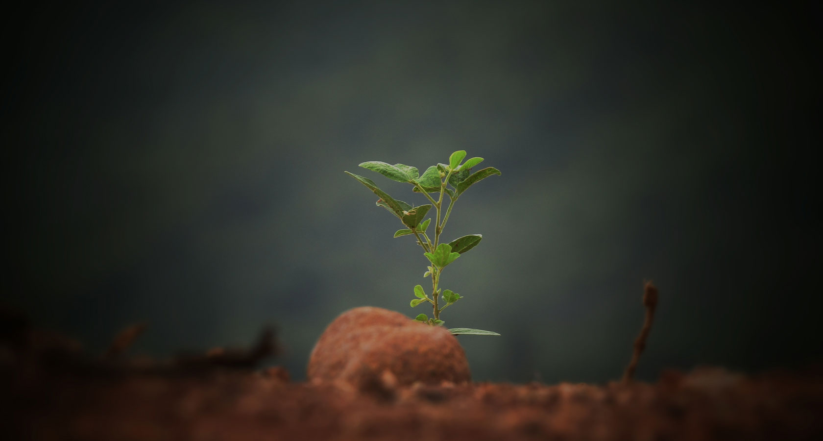 欧博abg(中国区)官方网站